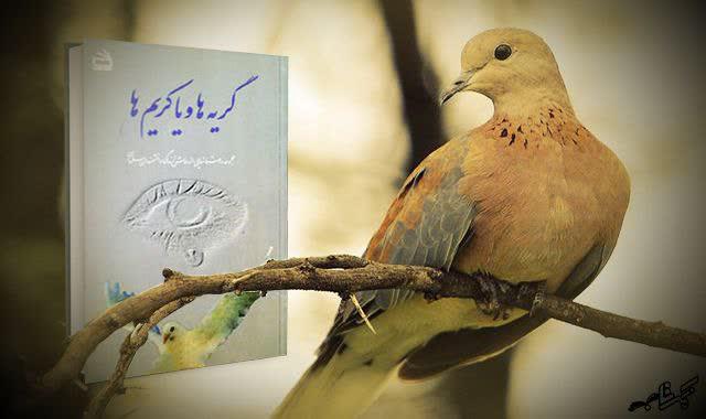 کتاب گریه ها و یاکریم ها : مجموعه ای داستانی از زندگی دانشمندان مسلمان