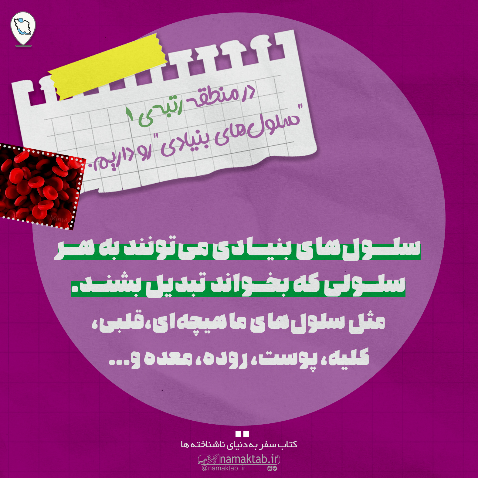 شبیه سازی2