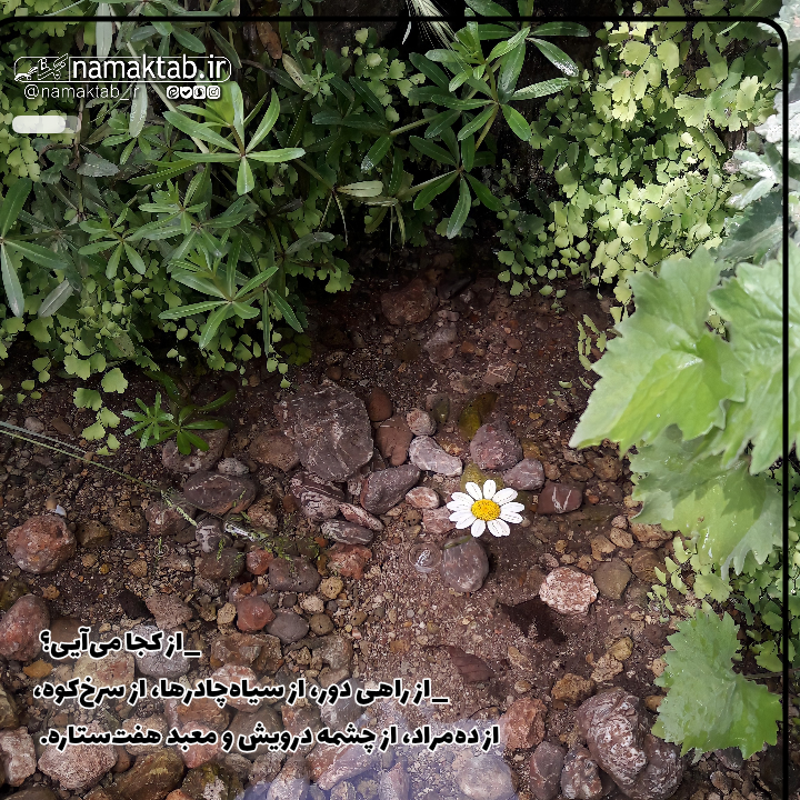 عکسنوشته- شب و قلندر (3)