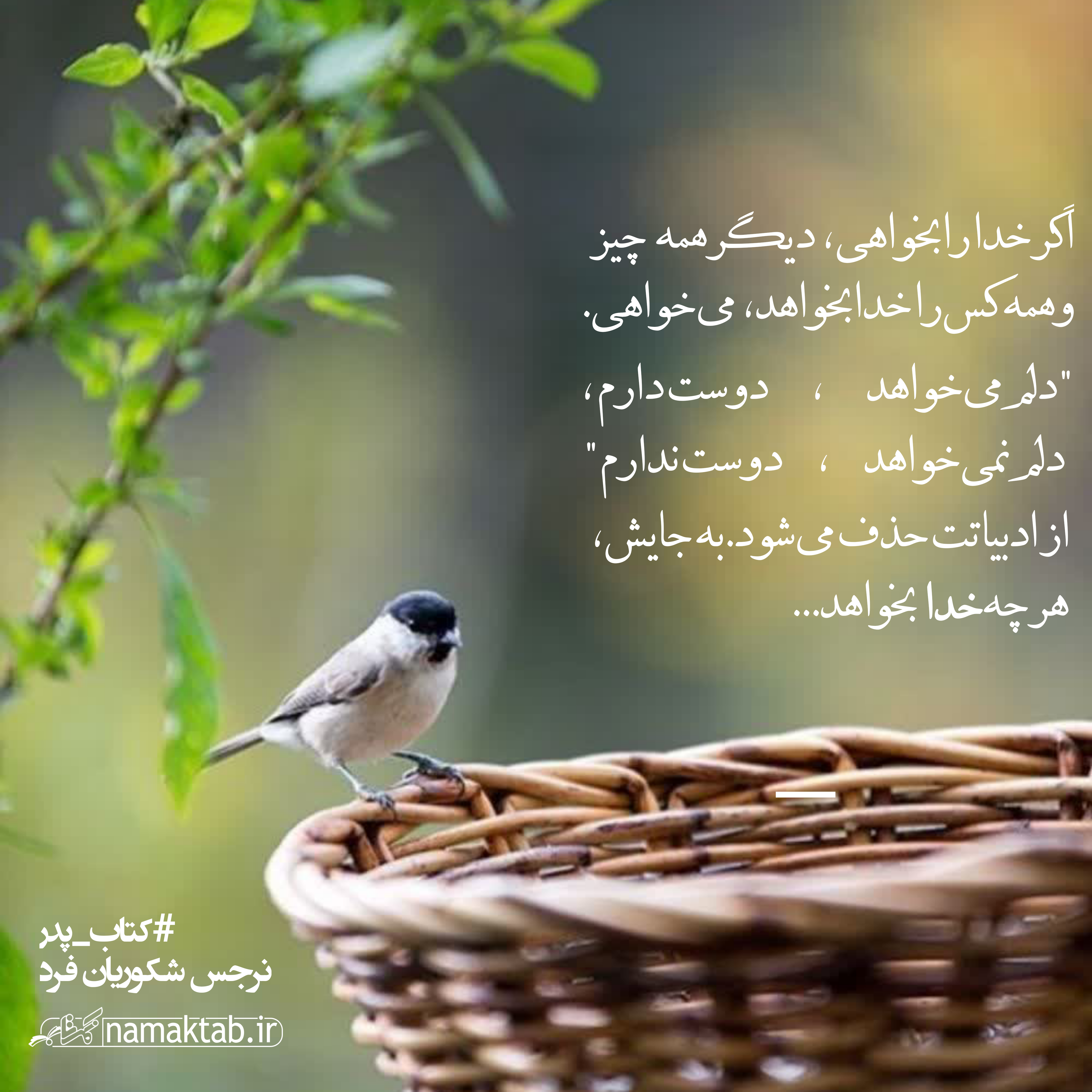 عکسنوشته پدر (3)